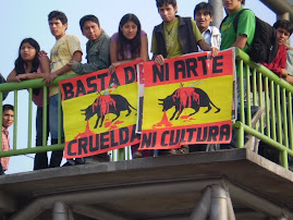 DOM. 23 de NOV. FRENTE ANTI-TAURINO EN ACHO