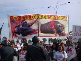 DOMINGO 8: PROTESTA EN ACHO