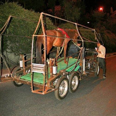Naturmobil: Cart runs on ‘horse power’