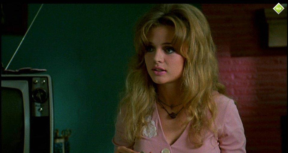 drugstore cowboy essay