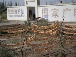 Strips of melon drying