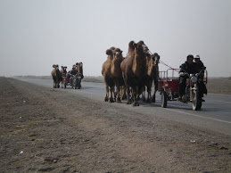 Moving camels from A to B