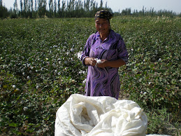 Colourful but shy cotton picker