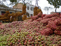Mountains of apples