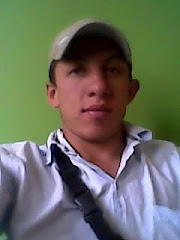 el mundo de las bases de datos