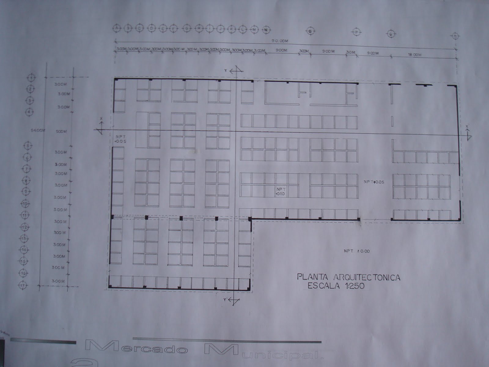 DISEÑO ARQUITECTONICO DE UN MERCADO DE CARACTER MUNICIPAL EN TLAXIACO