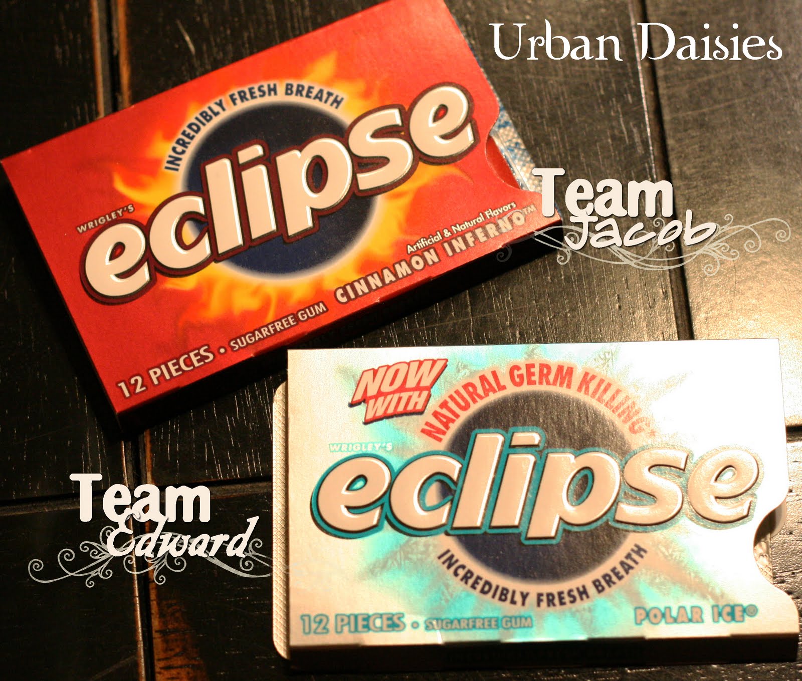 Urban Daisies Twilight Eclipse Party Ideas