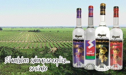 singani+tarijeño.jpg