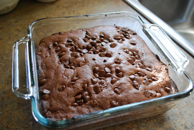 brownie recipe