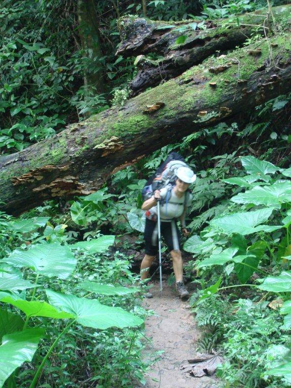 Kalapalo Editora  TREKKING NA ILHABELA