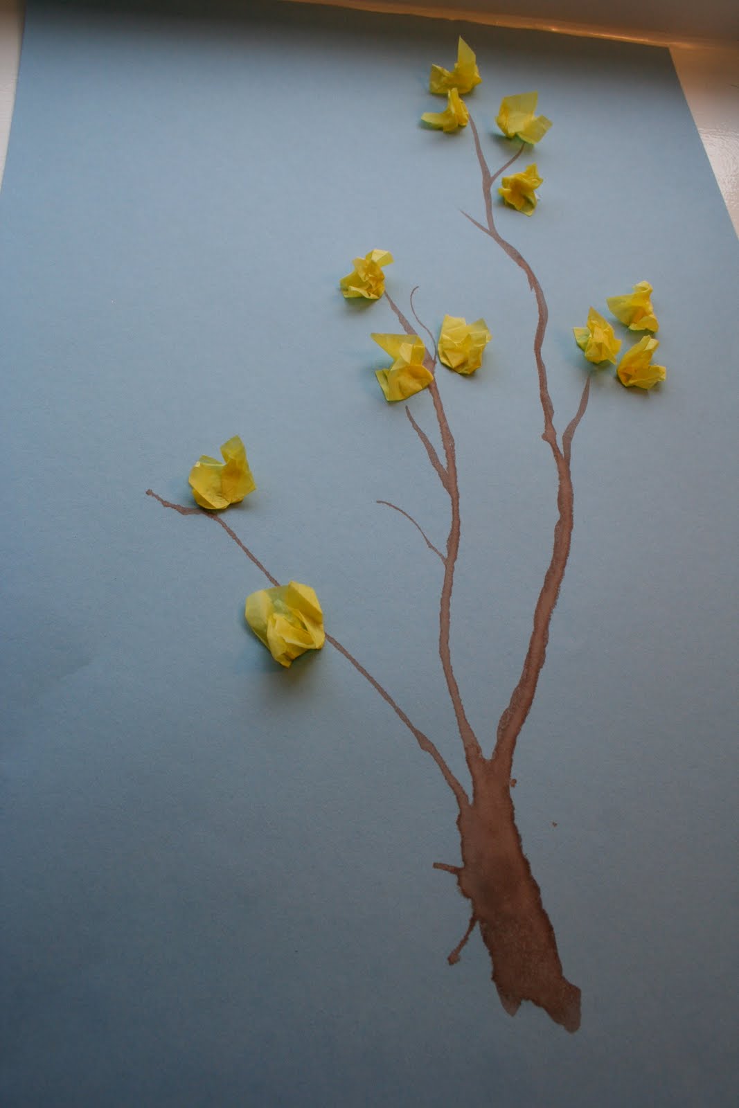 Let Your Light Shine The Judas Tree