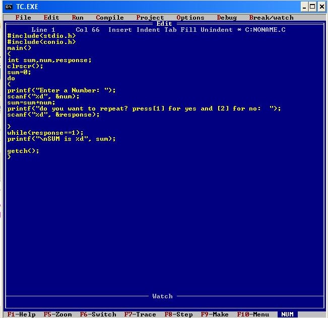 bAsiC pROgamMing: TURBO C - Do while loops...
