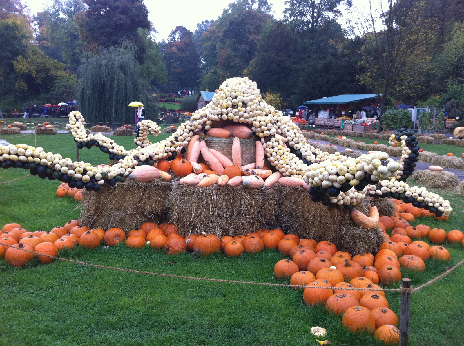 500 Reasons I Love Germany Reason 19 Why I Love Germany Ludwigsburg Pumpkin Festival