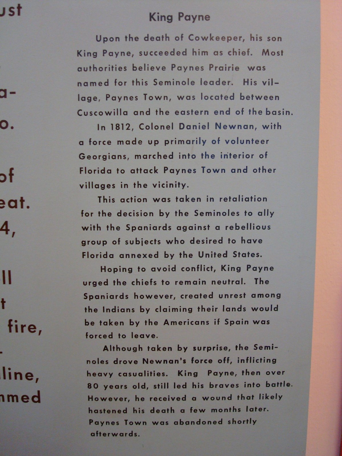 [Paynes+prairie+043.jpg]