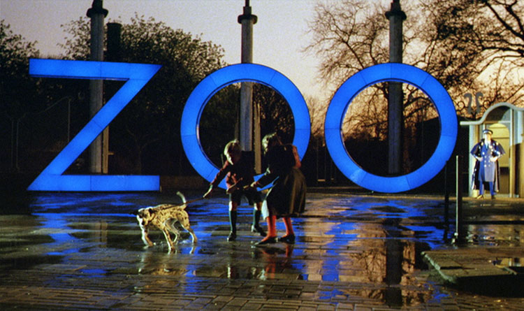 Cotone e se diventa intelligente! Catone. LO ZOO DI VENERE, Peter