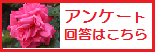 コースの感想　メールアドレス登録