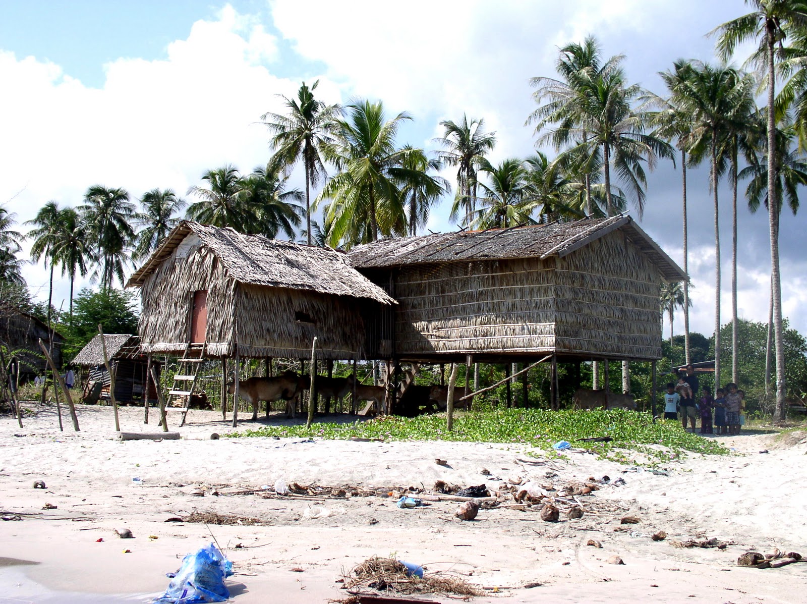 kampung mela Where people, places us. Be thankful with what we have.