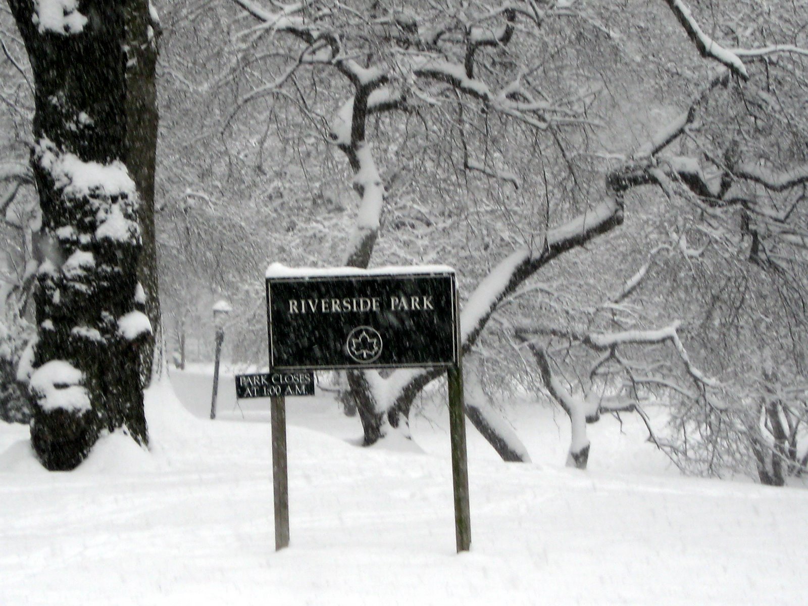 [riverside_park.jpg]