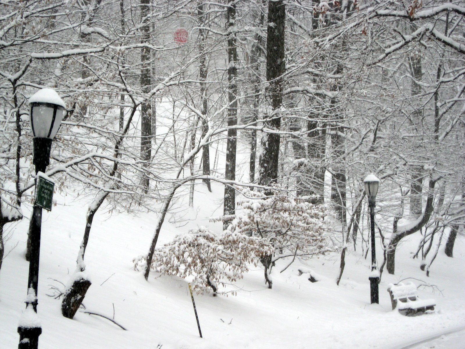 [riverside_park_3.jpg]