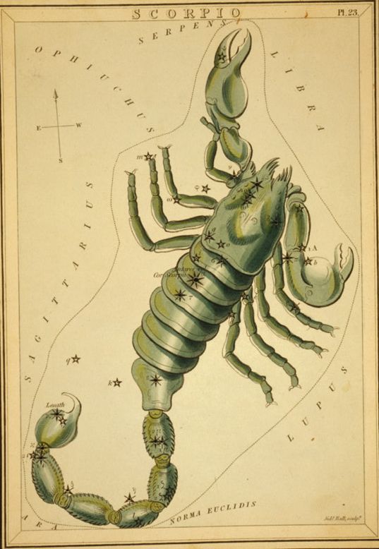[astrological_sign_scorpio_2.jpg]