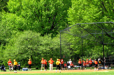 Little League Game in Central Park