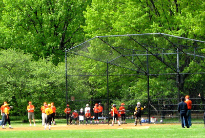 Little League Game in Central Park