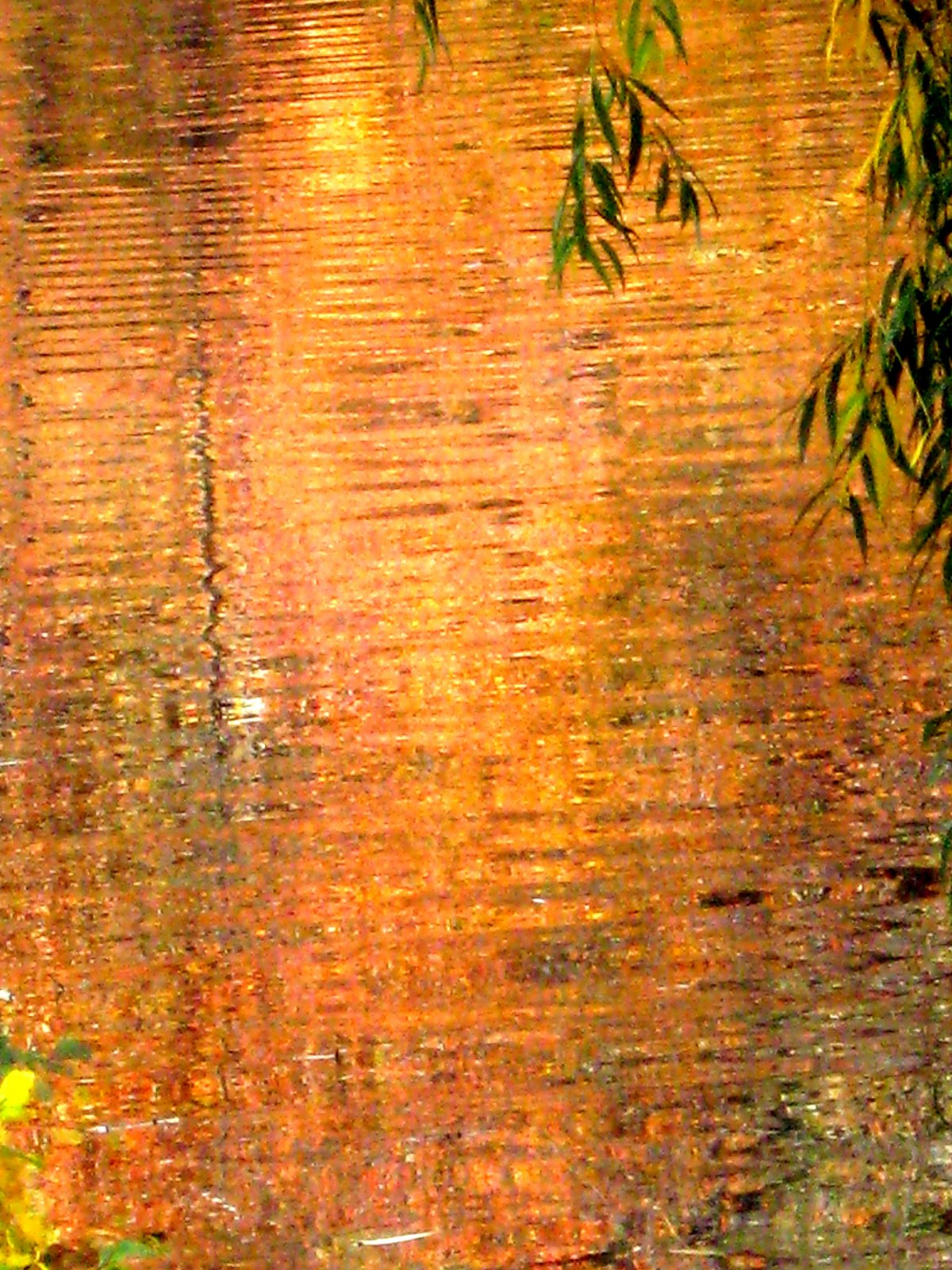 [lake_reflection_2.jpg]