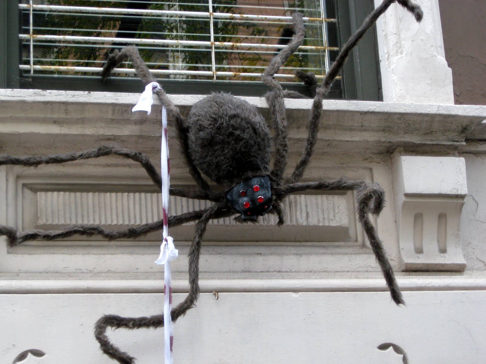 [halloween_spider.jpg]