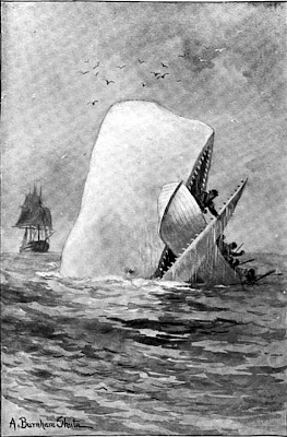 Moby Dick The white whale