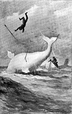 Moby Dick The white whale