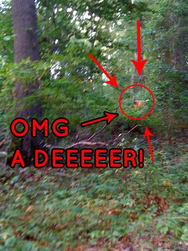 satanswolfpack:  the whole homestuck fandom right now  