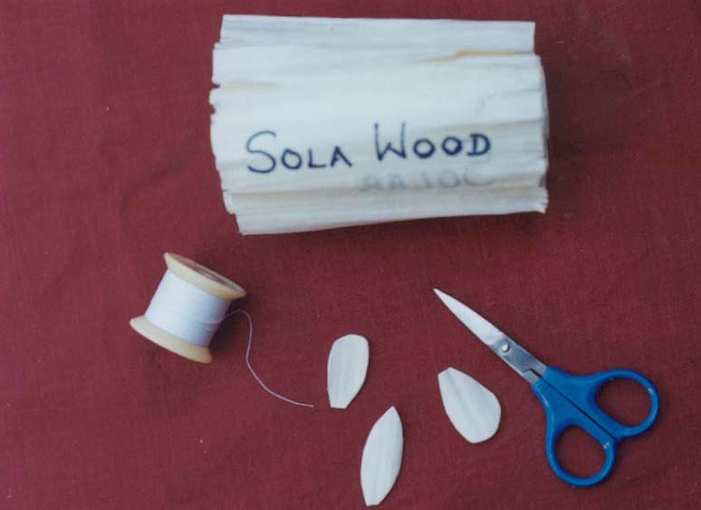 [sola11.jpg]