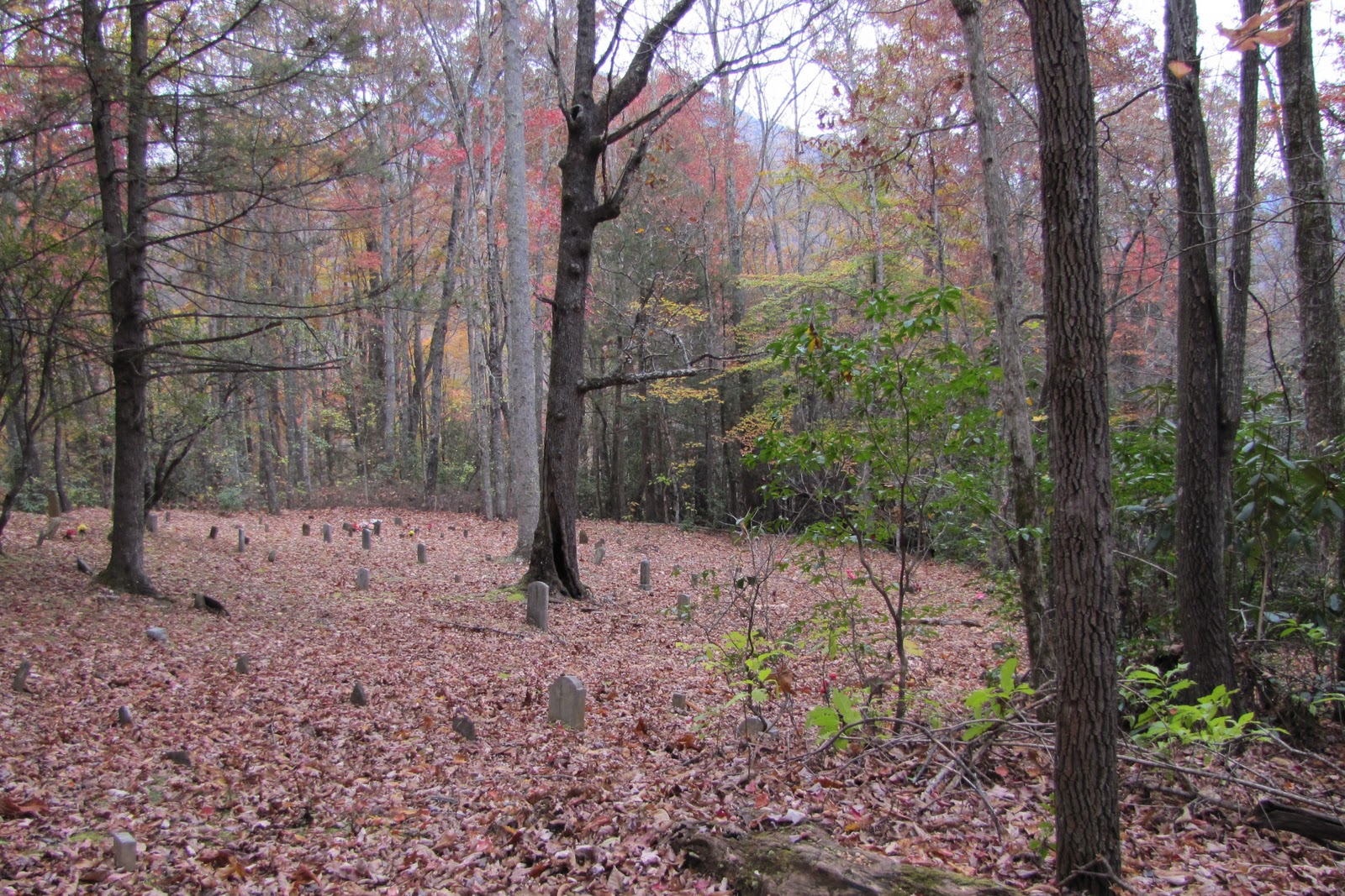 To Behold the Beauty: A Cemetery and Fall Colors