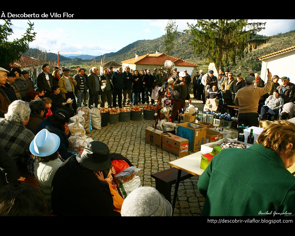 [VilaFlor1803.jpg]
