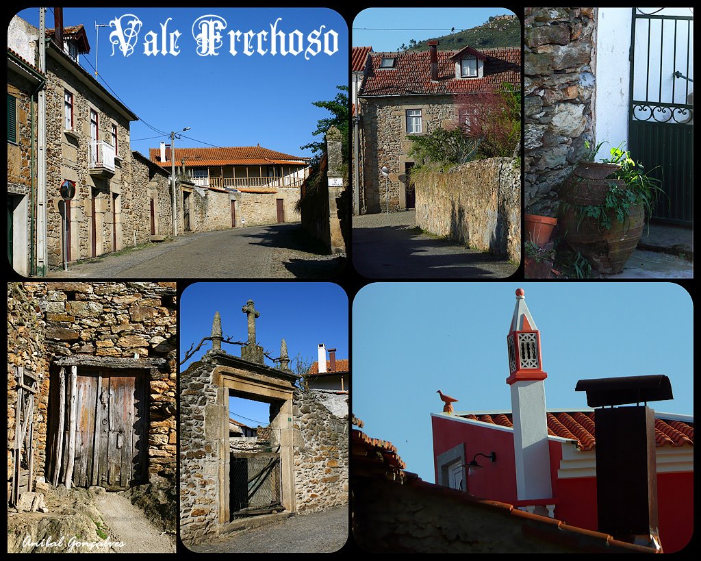 [VilaFlor1422.jpg]