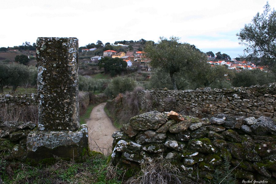 [VilaFlor1438.jpg]