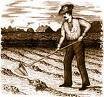[cultivation.jpg]
