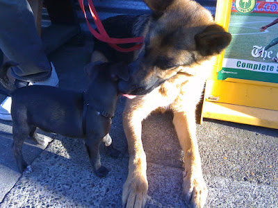 The SoHo: October 2010