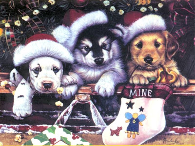 Dogs Funny Christmas Wallpaper