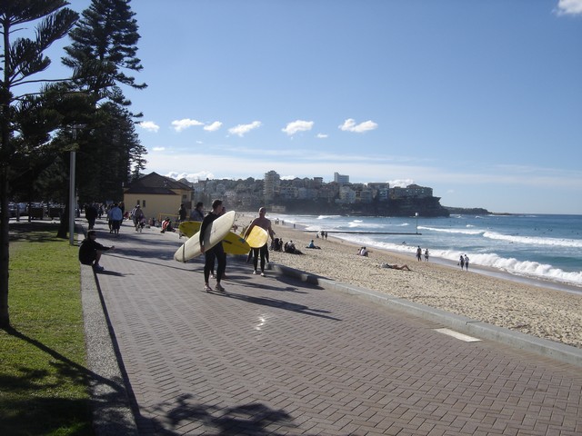Surfeurs à Manly Sydney 