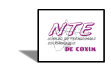 NTE de Coxim