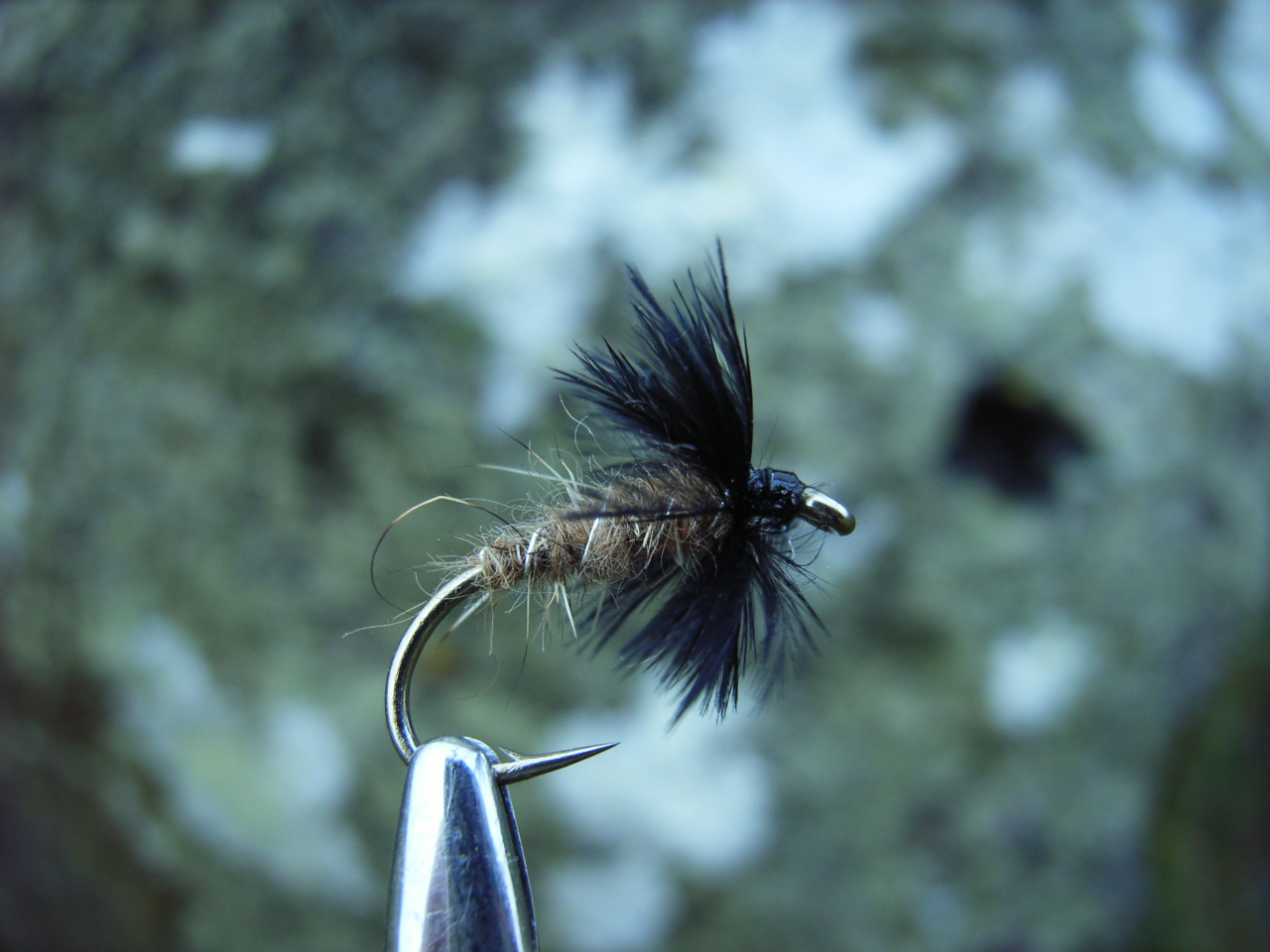 Perfect Fly Box Cased Caddis