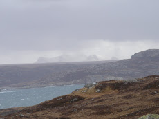 Ben Loyal 5 April 2008