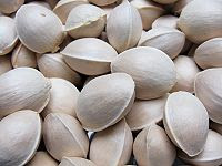 Ginkgo (Ginkgo Biloba)  Seeds