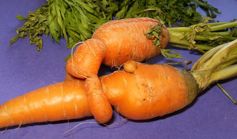 Carrot Porn 39