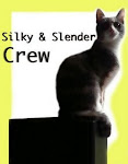 Silky and Slender Crew