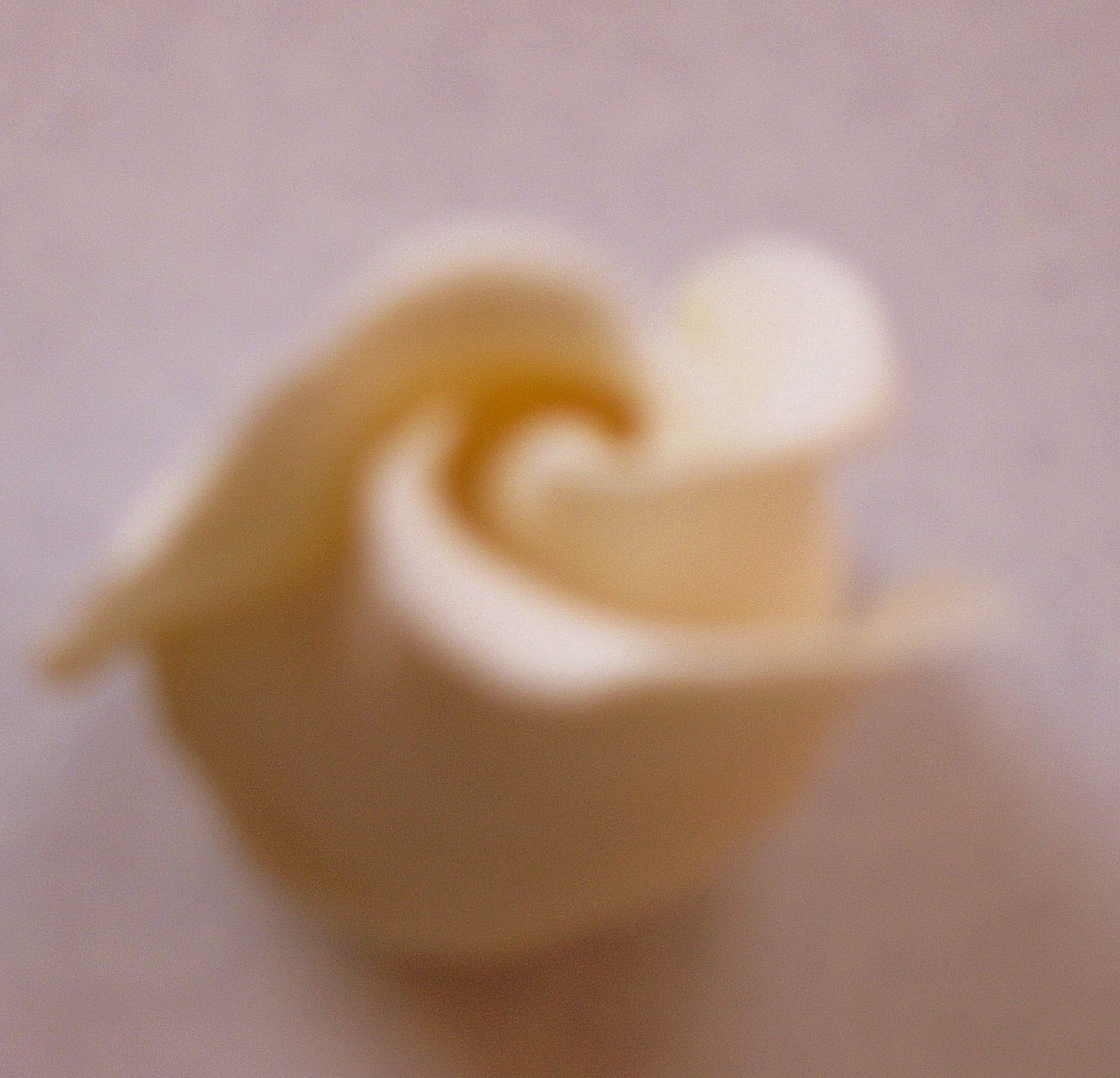 [mamerose10.tif.jpg]