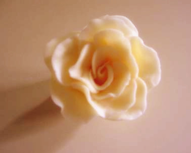 [mamerose13.tif.jpg]