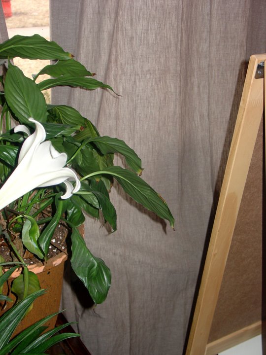 [2008.03.31WhereisHolland.jpg]