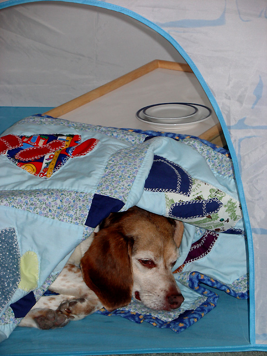 [2007.05.04ZippoTent.jpg]